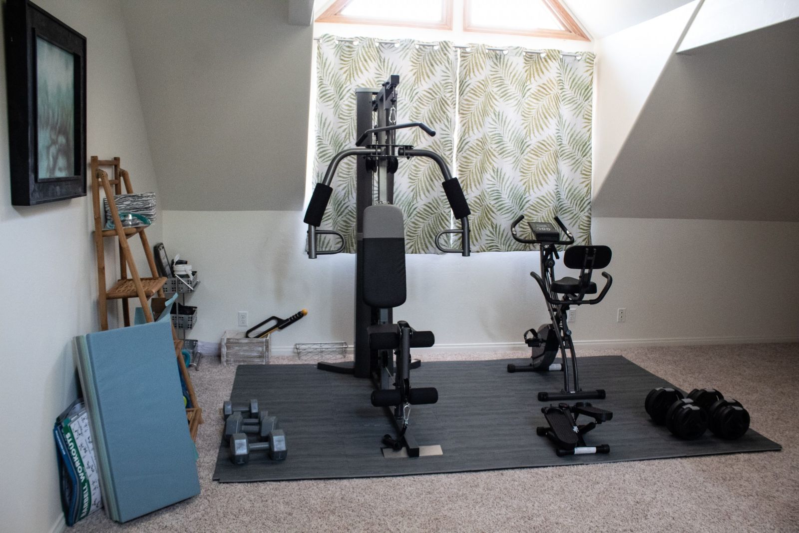 personal training nanaimo at home gym setup exercise bike dumbbells