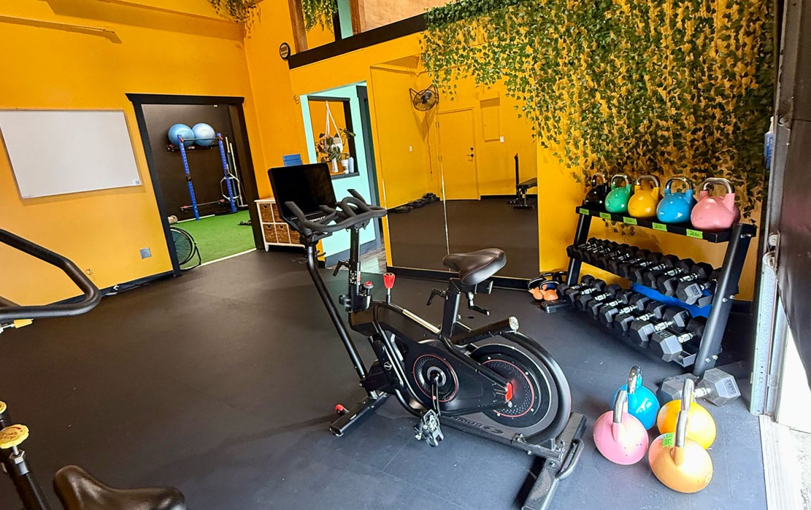 Personal trainer parksville gym photo two